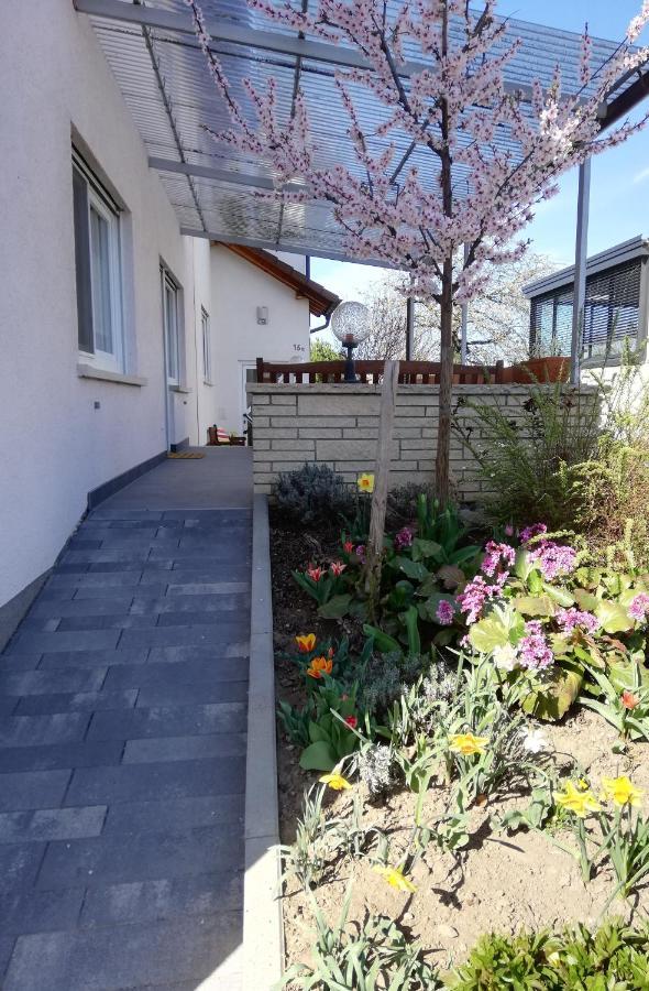 Ferienhaus Rauwolf Mit 2 Ferienwohnungen Roschbach Exterior photo